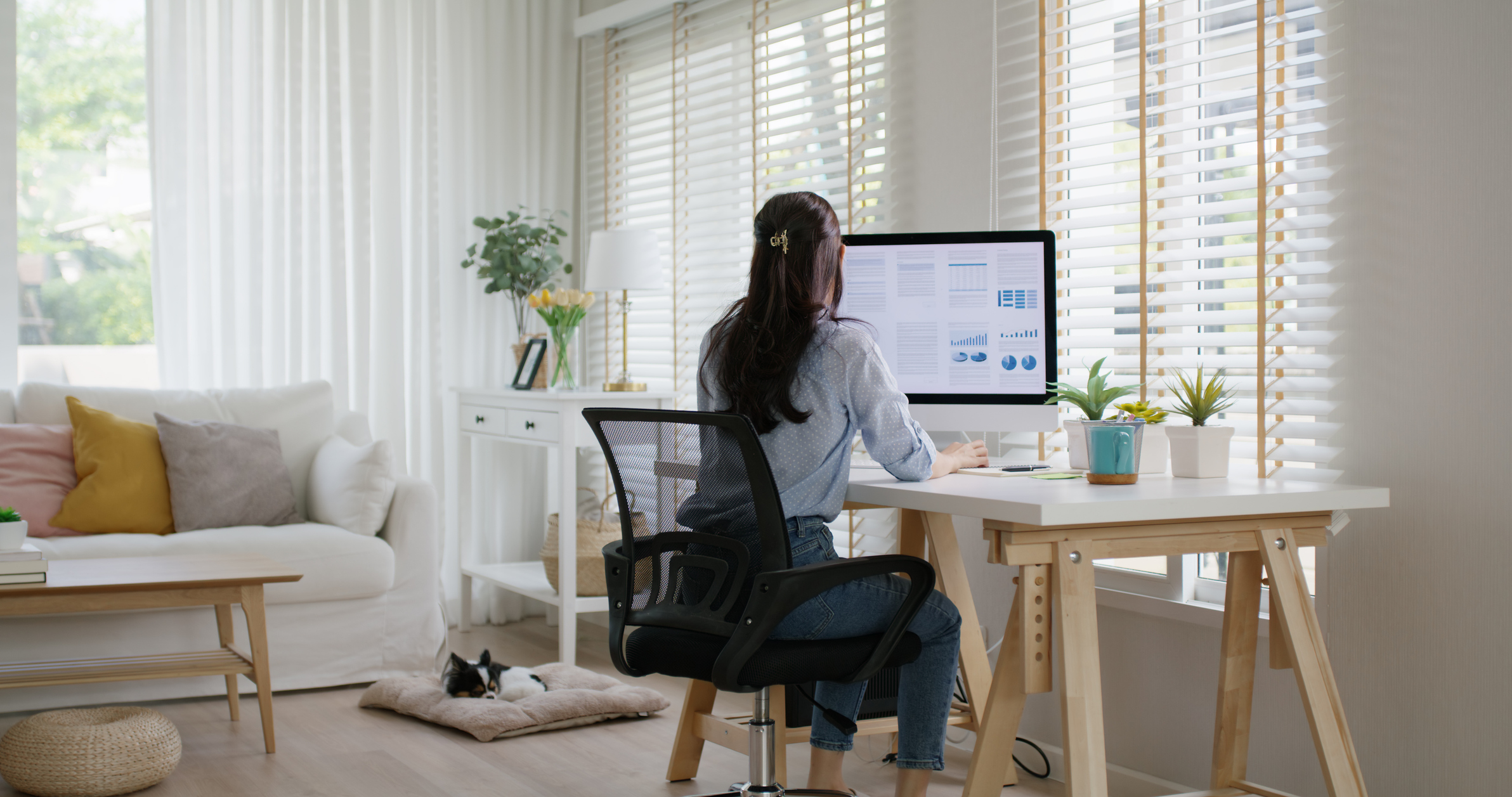 virtual assistant for cpa